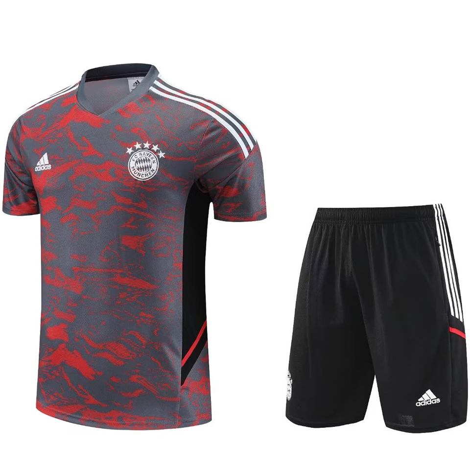 Bayern Grey/Red Short Training Set 23/24