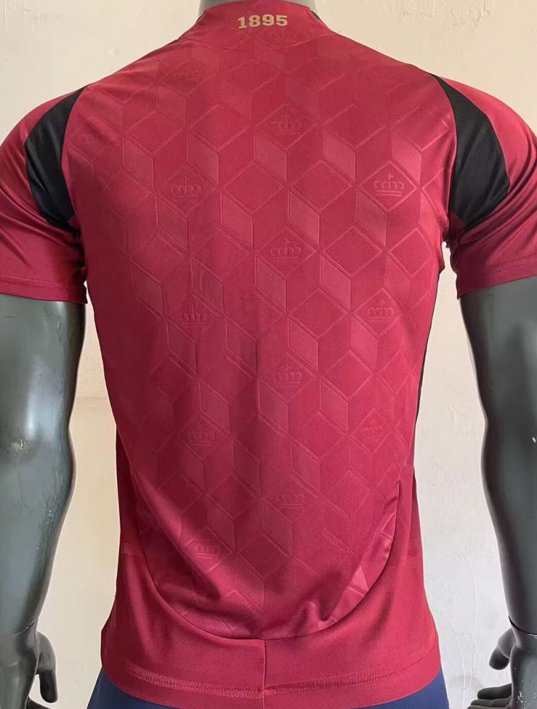 Belgium Home Kit 24/25