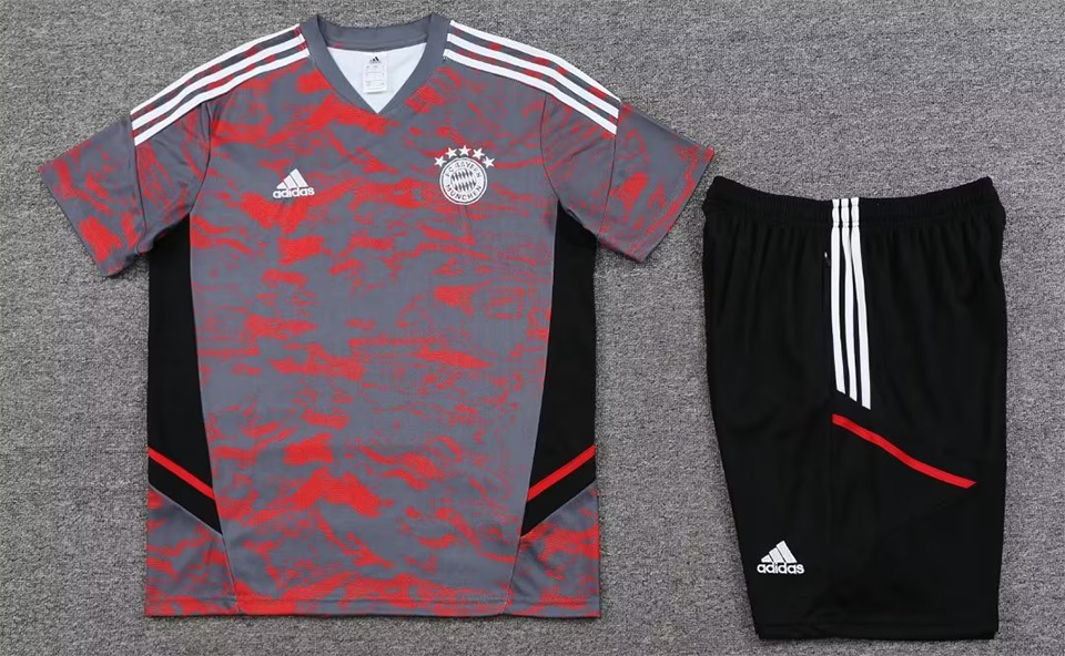 Bayern Grey/Red Short Training Set 23/24