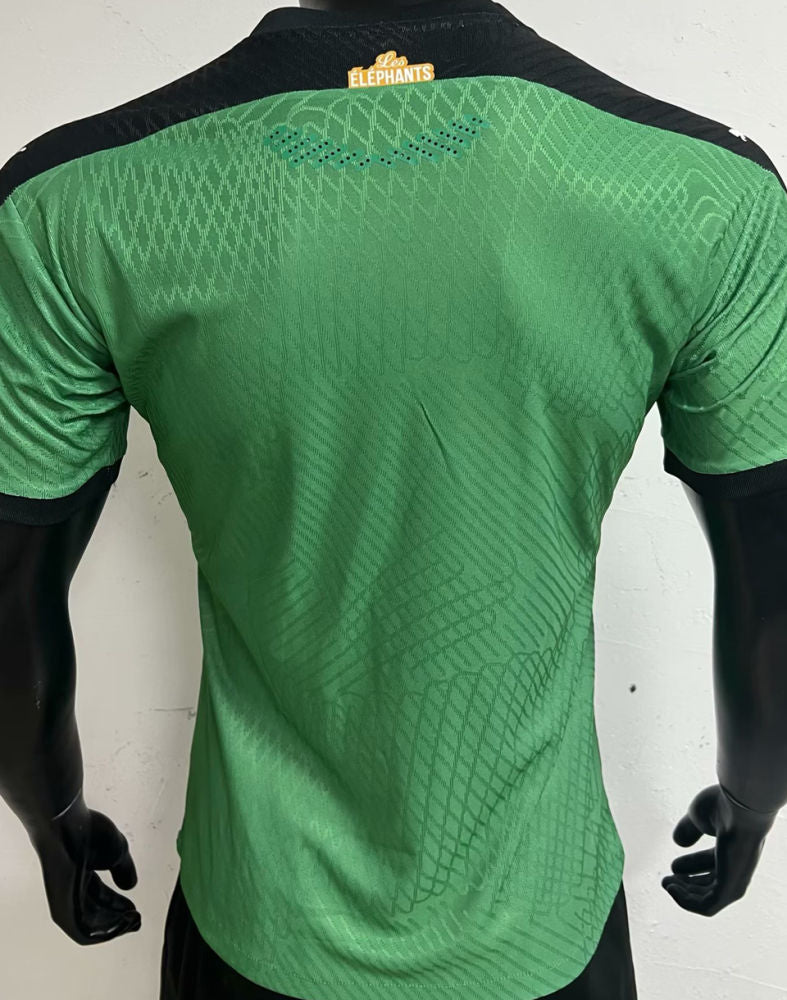 Ivory Coast Green Home Kit 24/25