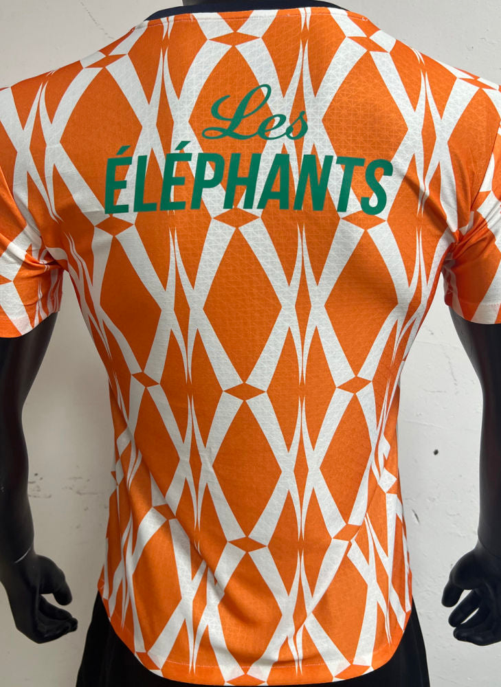 Ivory Coast Orange Special Edition Kit 23/24 (Without Name & Number)